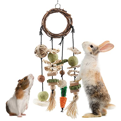 ERKOON Kaninchen Spielzeug, Rabbit Toy Kaninchenspielzeug Beschäftigung,Hasen zubehör Käfig Hängende Kauspielzeug, Hamster, Meerschweinchen