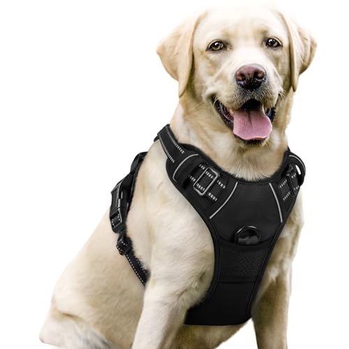 Hundegeschirr