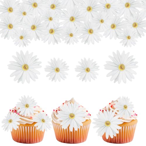 GoldRock 65 Stk Gänseblümchen Tortendeko Essbar Weiß,Essbare Blumen für Torte,Essbare Blüten Tortendeko,Daisy Esspapier Cupcake Topper Deko,Gänseblümchen Muffin Deko für Hochzeit, Geburtstag,Babyparty