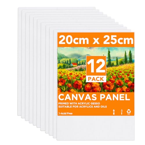 Conda 12 Stücke Leinwand zum Bemalen Aus 100% Baumwolle 20 x 25cm Leinwand Canvas Vorgespannte Weiße Künstler Panel für Acryl und Öl Malerei Sowie zum Skizzieren