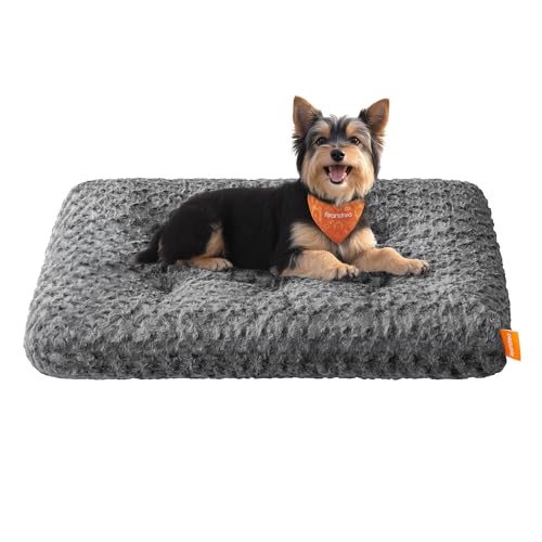 Feandrea Hundebett, Hundekissen M, für kleine Hunde, Flauschige Hundematte, Plüsch, 80 x 50 cm, weiche Polsterung, waschbar, rutschfest, schiefergrau PGW291GN01
