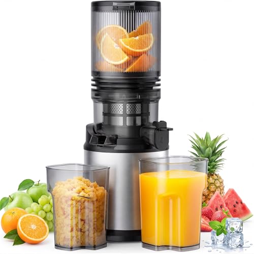 Entsafter - Saftpresse mit Breiter Einfüllschacht | 250W Kaltpress Entsafter für Ganze Früchte & Gemüse | Slow Juicer mit Doppelfilter Leicht zu Reinigender BPA-frei Hohe Saftausbeute Entsafter