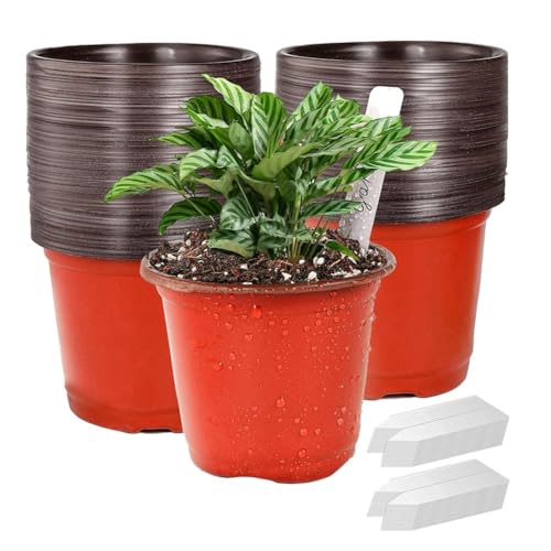 URPIZY 100 St¨¹ck Pflanzent?pfe 4 Zoll mit Etiketten, Kunststoff Anzuchtt?pfe mit 8 Drainagel?Chern, Flexible PP T?pfe f¨¹r Indoor Outdoor Garten Gem¨¹se Blumen Saatgut Stecklinge, Rot Wei?