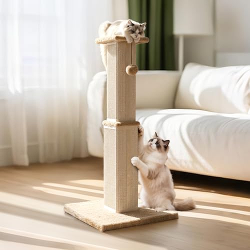 Zvonema Kratzbaum, 78 cm Hoch, Kratzsäule aus Natursisal & Widerstandsfähigem Stoff, Katzenkratzbaum 11,5 cm Stamm, Kratzstamm für kleine & Mittelgroße Katzen, Stabile Basis 37x37 cm, mit Spielball