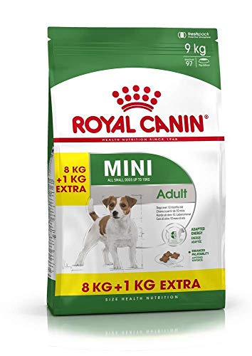 Royal Canin Hundefutter Mini Adult, 8+1 kg gratis, 1er Pack (1 x 9 kg)