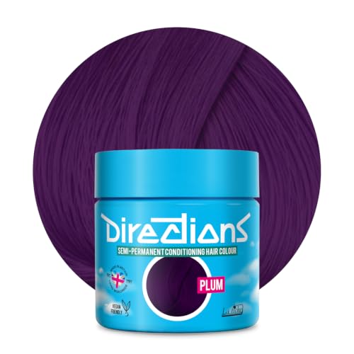 La Riche Directions Semi-Permanent Hair Color 100ml Tub - Plum