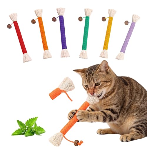Guidre 6er Set Katzenspielzeug mit Katzenminze,Interaktives Spielzeug