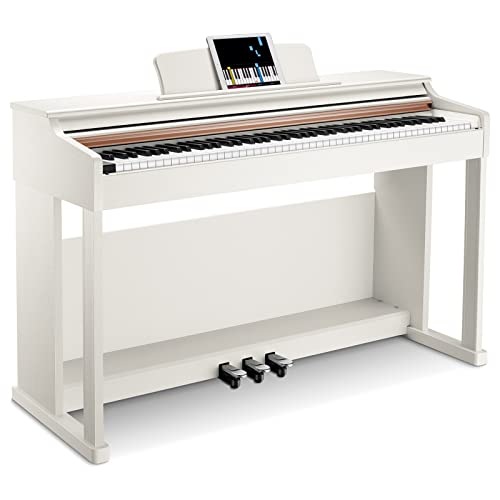 Donner Digitalpiano 88 Tasten Gewichtet DDP-100, Anfänger Keyboard Piano Bundle mit Möbelständer, Netzadapter, Weiß