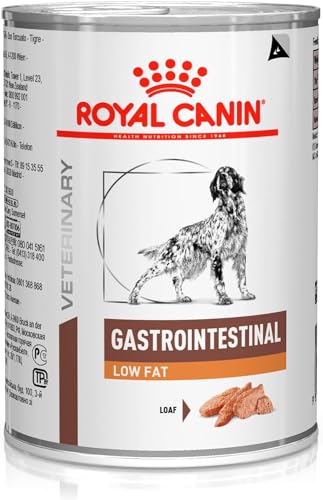 Royal Canin Veterinary Gastrointestinal Low Fat Mousse | 12 x 420 g | Diät-Alleinfuttermittel für ausgewachsene Hunde | Zur Unterstützung der Verdauung und bei Übergewicht