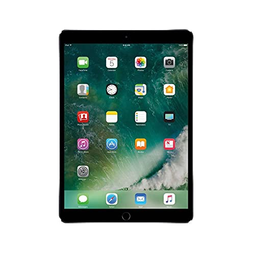Apple iPad Pro 10.5 256GB 4G - Space Grau - Entriegelte (Generalüberholt)