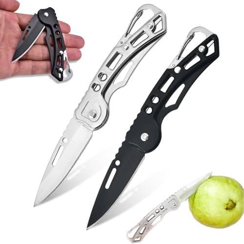 2stk Taschenmesser Klein,Mini Taschenmesser für Geburtstagsgeschenke