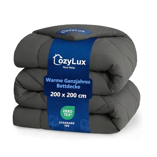 CozyLux Bettdecke 200x200cm für 4 Jahreszeiten - Bettdecke Ohne Bezug 2x2m Mikrofaser-Füllung 300GSM - Steppdecke mit 4 Eckschlaufen, Super Weiche Atmungsaktive Zudecke Schlafdecke 200x200, Grau