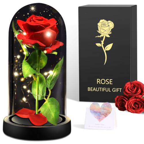 BOLEi Geschenke für Frauen,Ewige Rose im Glas mit LED(Romantisch Rot Rose)