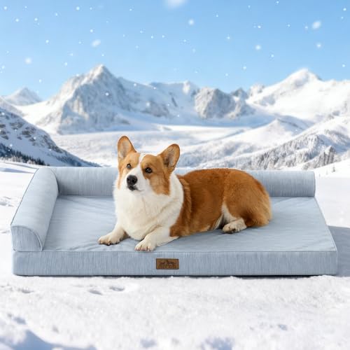 COZY KISS Orthopädisches Hundebett mittelgroße Hunde, Q-MAX src=
