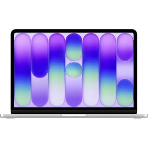 Apple 13