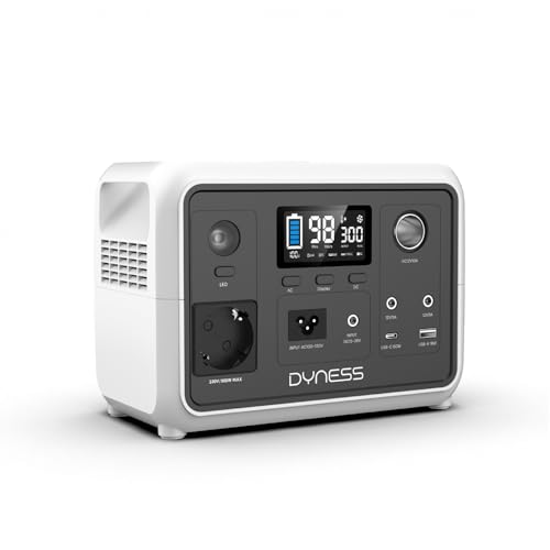Dyness 300W Tragbares Powerstation, 256Wh AC-Steckdose LiFePO4 Batterie Solargenerator mit 6 Ausgängen & 4 Ladeoptionen, Notstrom für Camping, Wohnmobil, Reisen & Notfall
