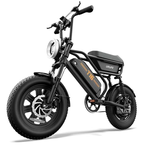URLIFE E Bike für Erwachsene, 16