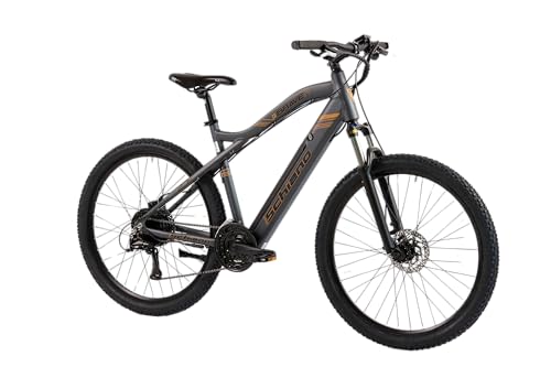 F.lli Schiano Braver, E Bike Mountainbike, 27.5 Zoll, 36V 11.6Ah Abnehmbarer Akku, Motor 250W 50Nm, MTB Ebike für Herren/Damen, Grau