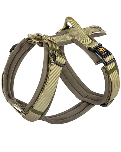 Rudelkönig Hundegeschirr Bella - Gepolstertes Brustgeschirr mit Haltegriff - Geschirr in Y-Design - Verstellbares Hundegeschirr kleine Hunde und mittelgroße Hunde