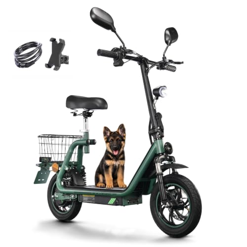 TWOFISH E Moped mit Straßenzulassung, Elektro Motorrad für Erwachsene, 500W Motor 48V 13Ah Akku, Doppelfederung, EEC Zertifiziert, Max. 45 km/h, 12 Zoll Reifen, IPX4, M5pro
