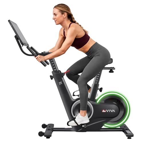 AsVIVA S20 Speedbike - Indoor Cycle Heimtrainer, 21,5