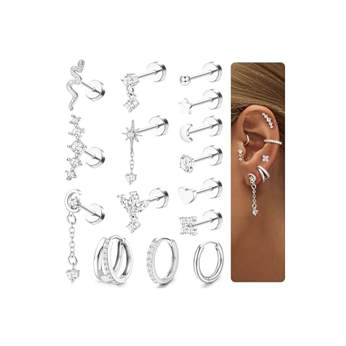 CASSIECA 15 Pcs Piercing Ohr Silber Helix Piercings Chirurgenstahl Ohrringe für Damen Medizinische Ohrstecker Creolen Ohrringe Ohr Piercing Set Conch Helix Tragus Piercing für Mehrere Ohrlöcher