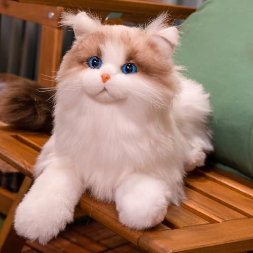 Chongker gewichtetes Kuscheltier, 2KG Kuscheltier, realistische Ragdoll-Katze Größe, lebensechte gewichtete Katze Plüsch (Gewichtete Ragdoll-Katze)