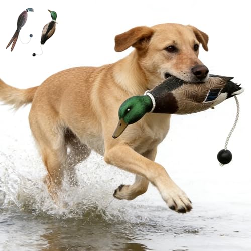 Pwvivjoi Jagd-Hundespielzeug, Enten-Hundespielzeug & Fasan, schwimmendes Jagdhundezubehör für Retriever-Training mit Entenköder-Stil, 2 Stück