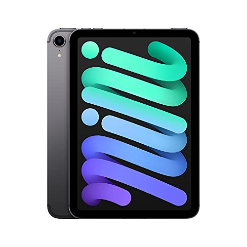 2021 Apple iPad mini (8.3-Zoll, Wi-Fi + Zellular, 256GB) Space Grau (Generalüberholt)