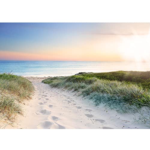 Runa Art Fototapete Strand und Meer Sonnenuntergang 352 x 250 cm Vlies Tapeten XXL Moderne Wandtapete Wohnzimmer Schlafzimmer Blau Beige 9008011a