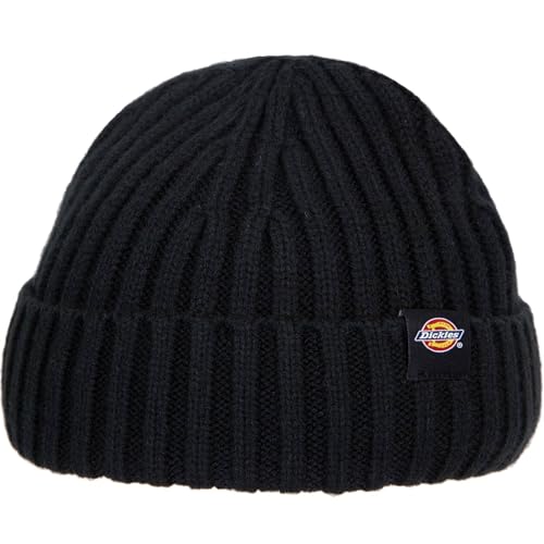 Dickies Lockwood Beanie Mütze (OS, Black)