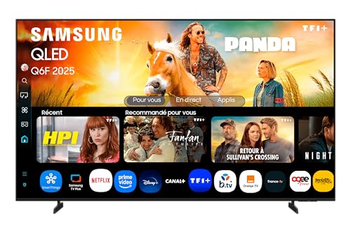 Samsung AI TV 55 Zoll QLED 55Q6F 4K Smart TV, Quantum Dots, Q4 Lite Processor, WiFi, Airplay, HDR, Q-Symphony, OTS Lite, Knox Security, Gaming Hub, Bixby, integrierte App Betreiber