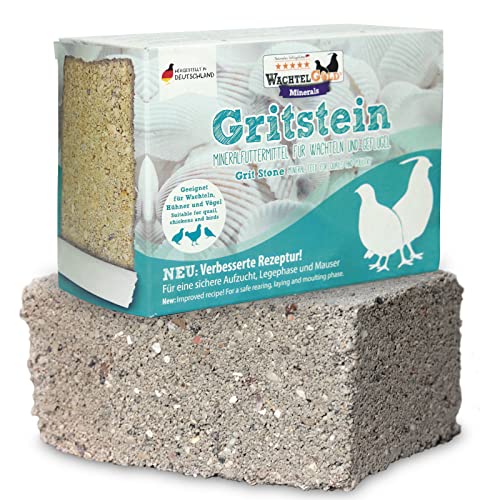 federgold® Gritstein 1kg – Mineralstein für Hühner, Wachteln & Geflügel - Natürliche Calcium- & Mineralstoffquelle für Starke Eierschalen, gesunde Verdauung & artgerechte Fütterung