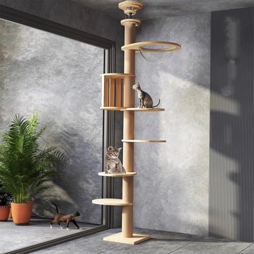 Mekidulu Kratzbaum deckenspanner hoch,11CM breit Sisalseil für kratzbaum,Raumkapsel,Katzenkäfig, 4 Plattformen,Höhenverstellbar,Kratzbaum deckenhoch (240~280CM) .Unterhaltung