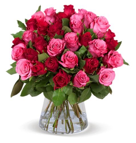 Blume Ideal Rosenstrauß | 20 Rosen -