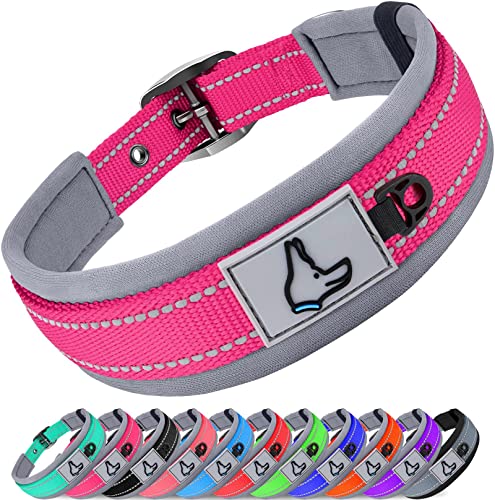Joytale Halsband Hund, Weich Hundehalsband Gepolstert Neopren Hunde Halsband für Kleine Hunde, Nylon Reflektierend Breit Halsbänder, Leuchtend Rosa