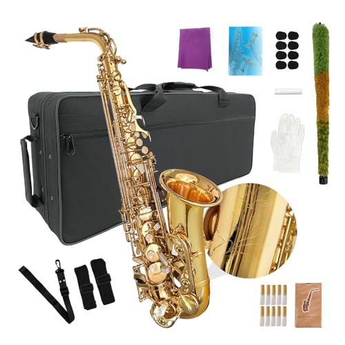 YoungMonic Altsaxophon E Flat für Erwachsene, Studenten, Saxophon, Eb, Alt, komplettes Set mit Tragetasche, Mundstückriemen, Rohrblättern, Saxophon, Anfänger-Set