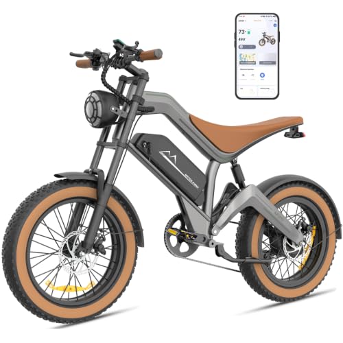 FREEJOYER E Bike Herren, All-Terrain Elektrofahrrad mit 250W 74NM Motor 48V 18.2Ah Akku, E-Bike 20 * 4.0 Zoll Fette Reifen 25km/h 7-Gang bis zu 100km, Scheibenbremse mit APP, M20