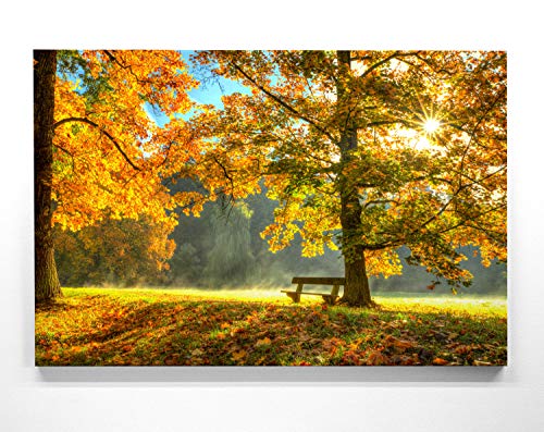 BilderKing Atemberaubende Leinwand Herbstbilder - Herbstidylle Bank - als 120x80cm großes XXL Leinwandbild. Wandbild als Hintergrund und Deko für Wohnzimmer & Schlafzimmer. Aufgespannt auf Holzrahmen
