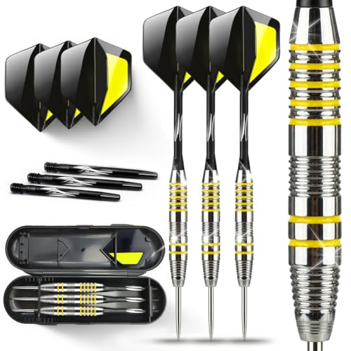 Dlishka Professional Steel Tip Darts Set 23g with Removable Flights and Shafts, Adjustable 2BA Darts with Darts Case for Home, Club and Competitive Play