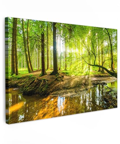 MuchoWow© Leinwandbild Groß 120x80 cm XXL Dekoration Wohnzimmer Bilder Aufhängen Wall Decoration Living Room Wohnungs Deko Moderne Wandbilder Bild Wald - Landschaft - Wasser - Bäume - Grün - Natur