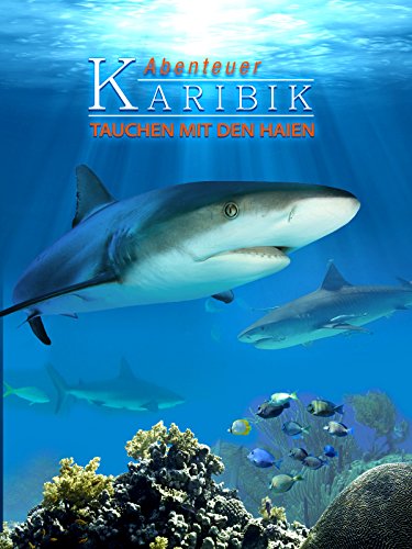 Abenteuer Karibik - Tauchen mit den Haien