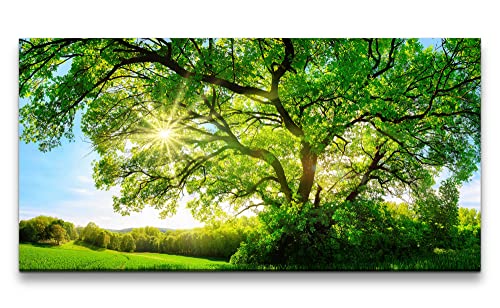 Paul Sinus Art Leinwandbild 120x60cm Großer Baum Eiche Baumkrone Grün Natur Sonnenstrahlen