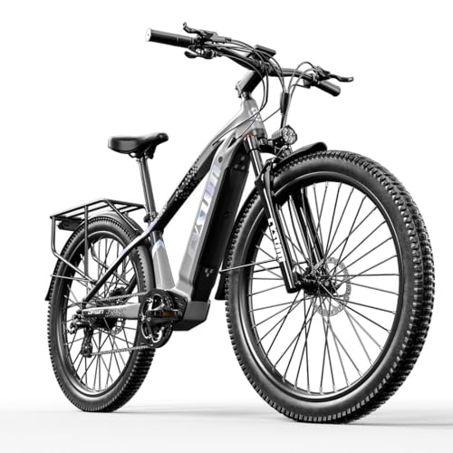 cysum Speedy E-Bike Damen Herren, 27,5/29 Zoll E-Mountainbike, Elektrofahrrad mit 48V14Ah Wechselakku, 100km Reichweite, 25km/h, Hydraulische Scheibenbremse (27,5'' GRAU)