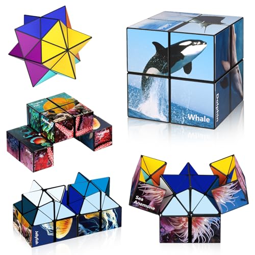Euclidean Cube Sternenwürfel Zauberwürfel-Set, Verwandlungswürfel Magische Puzzle-Würfel für Kinder und Erwachsene (Ozean-Serie)