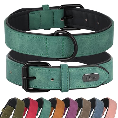 Didog Hundehalsband aus weichem, gepolstertem Leder, atmungsaktives, strapazierfähiges Hundehalsband aus Leder mit Verstellbarer, rostfreier Metallschnalle für mittelgroße und große Hunde, Grün, L