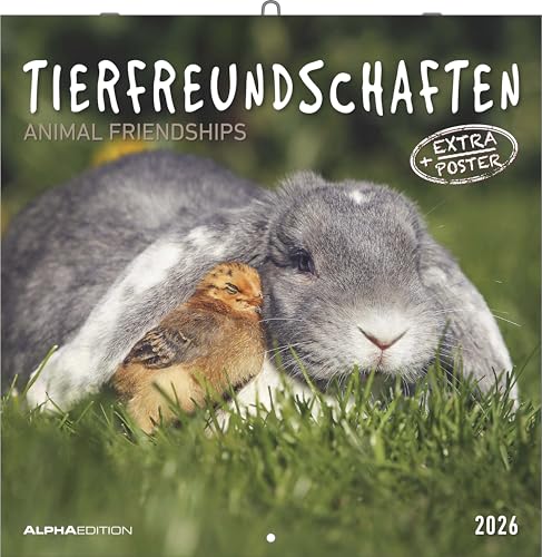 Alpha Edition - Tierfreundschaften 2026 – Broschürenkalender 30×30 cm (30×60 cm geöffnet) mit Notizbereich & Poster, Wandkalender mit süßen ... & Deko für Zuhause: Animal Friendships