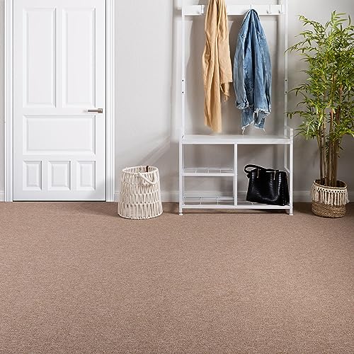 Steffensmeier Teppichboden Meddon Meterware | Auslegware für Kinderzimmer Wohnzimmer Schlafzimmer | Beige, Größe: 300x500 cm