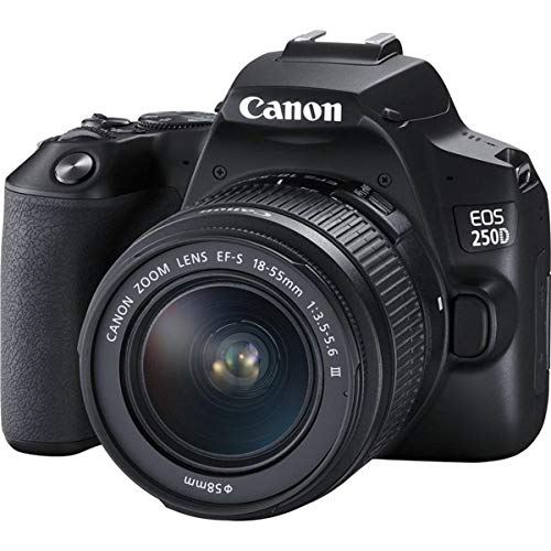 Canon EOS 250D digitale Spiegelreflexkamera + Objektiv EF-S 18-55mm F3.5-5.6 III (24, 1 Megapixel, 7,7 cm/3 Zoll Vari-Angle Display, APS-C-Sensor, 4K, Full-HD, DIGIC 8, WLAN, Bluetooth), schwarz