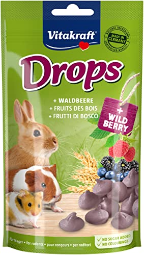 Vitakraft Drops, Leckerlies für Nager, mit Waldbeere, Nagerfutter, zum Verwöhnen, ohne Zusatz von Zucker (1x 75g)